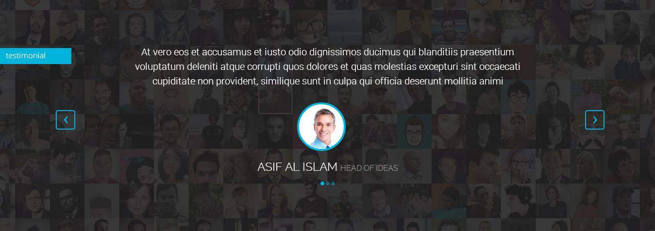 What Our Client's Say