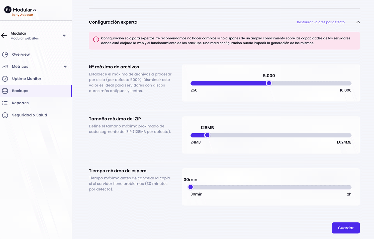 Configuración experta de backups