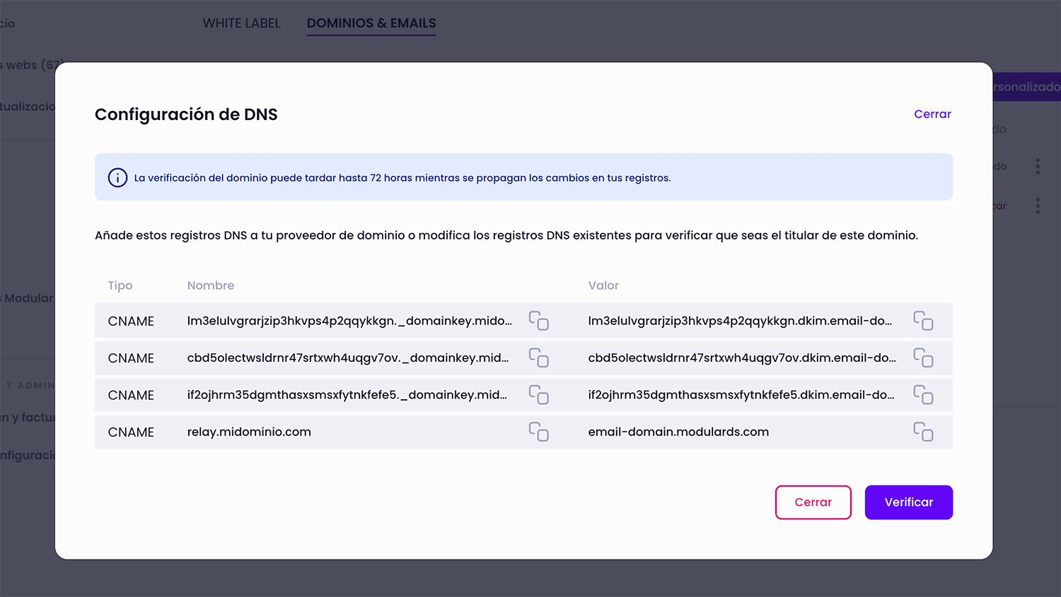 Registros DNS dominios Modular