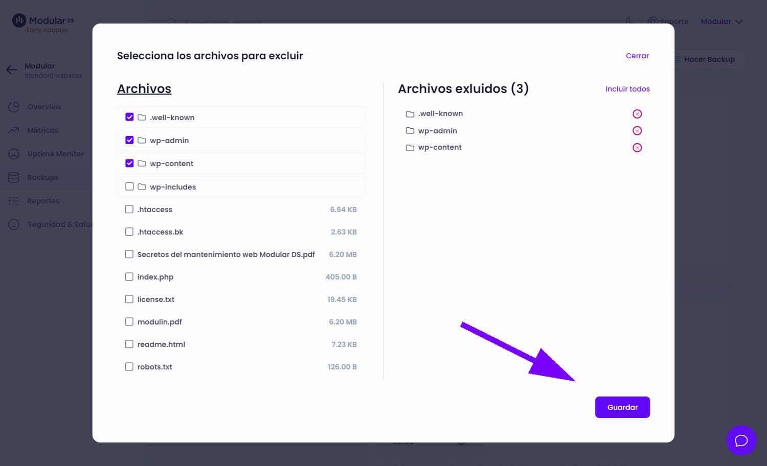 Excluir Archivos y Guardar Modular