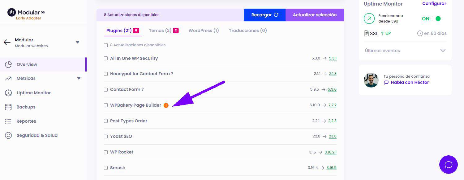 Vulnerabilidad del plugin de un sitio