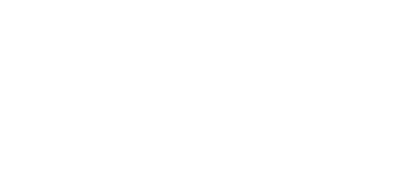 WagePirate