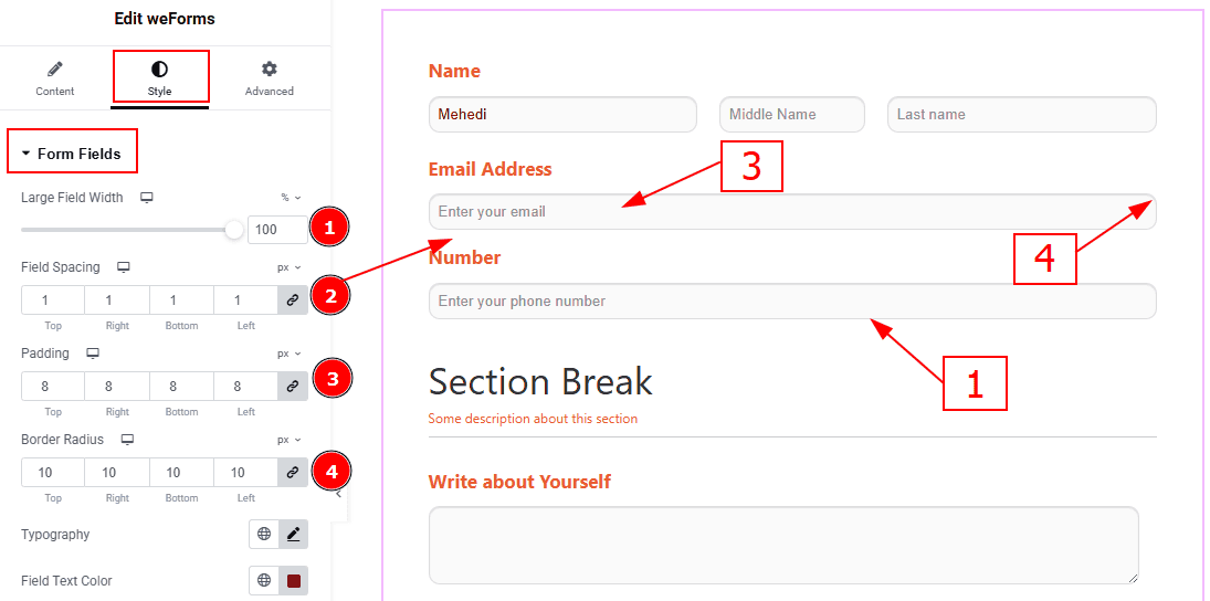 Form Fileds 01.png