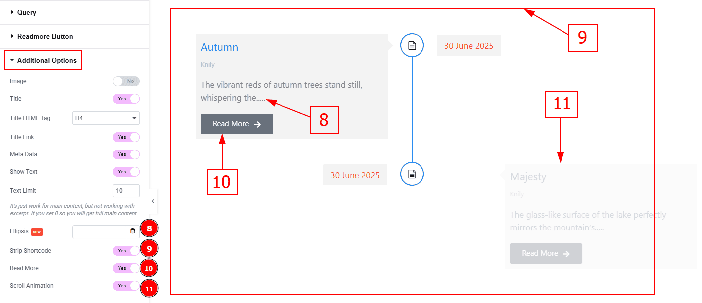 Additional Options 03.png