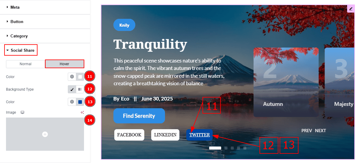 Social Share - Hover.png