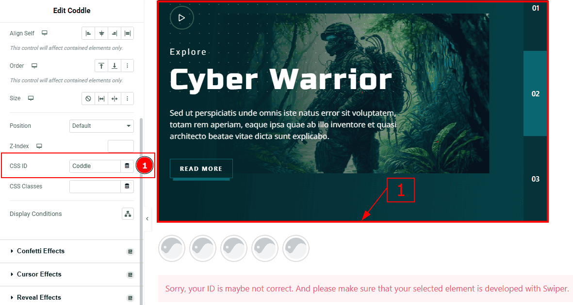 Set CSS for Coddle Slider.png