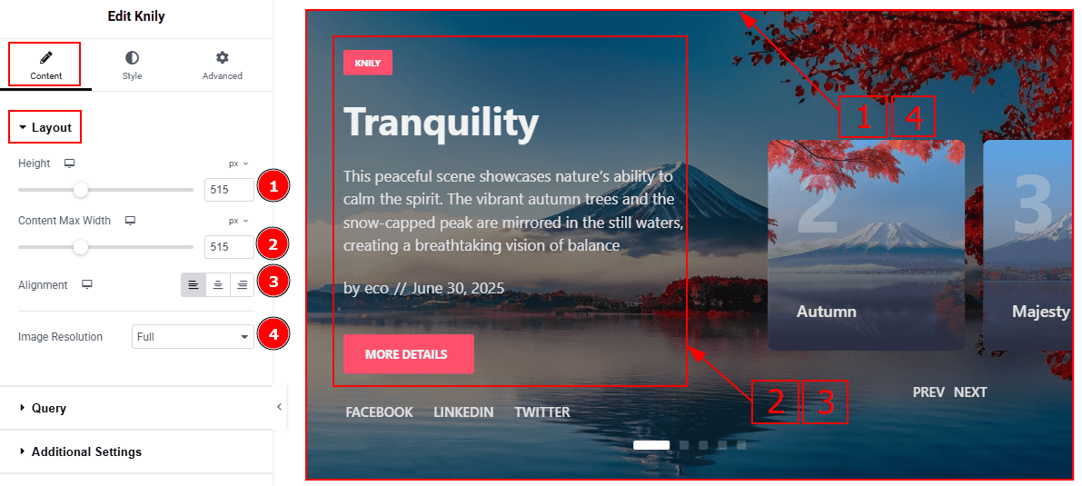 Layout.png