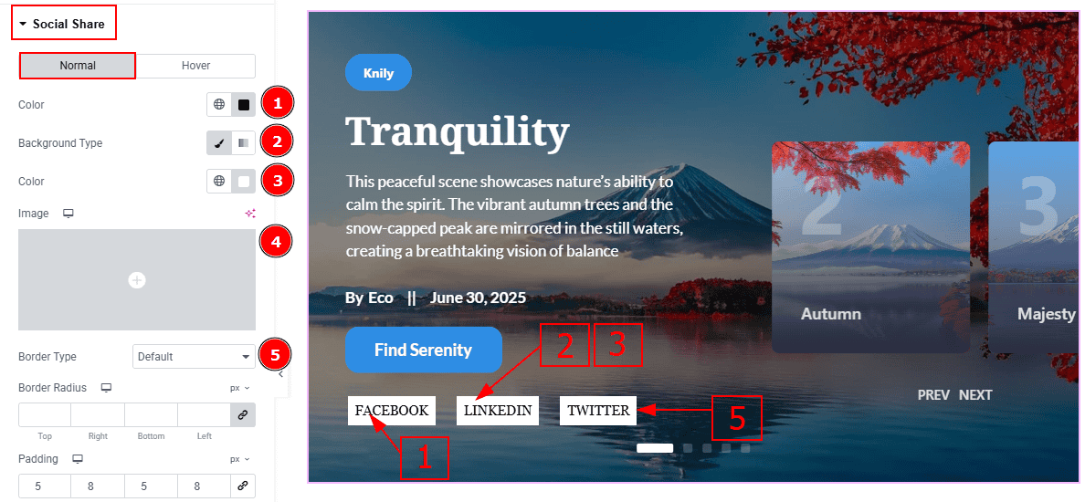 Social Share - Normal 01.png