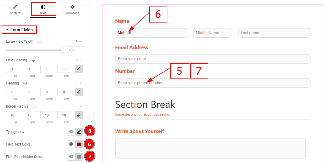 Form Fileds 02.png