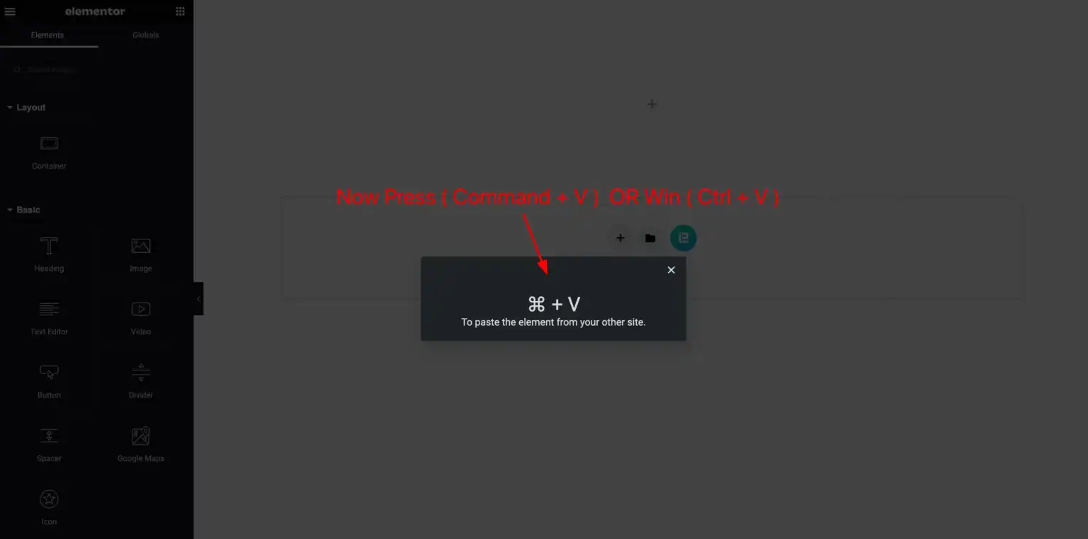 livecopy.webp