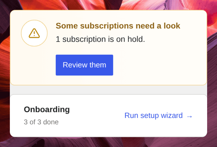 Screenshot of the attention card reading Some subscriptions need a look with a Review them button, above the onboarding panel