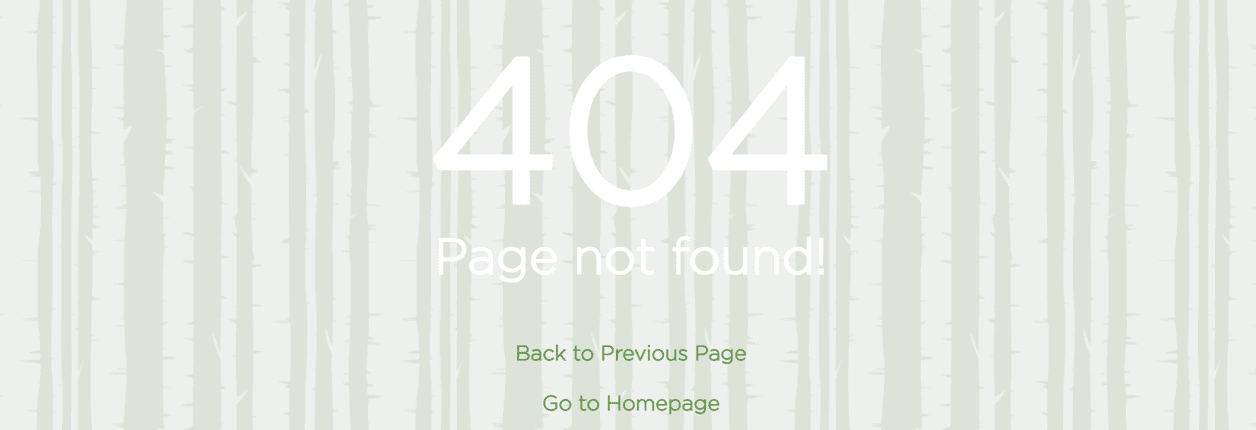 404 page not found.png